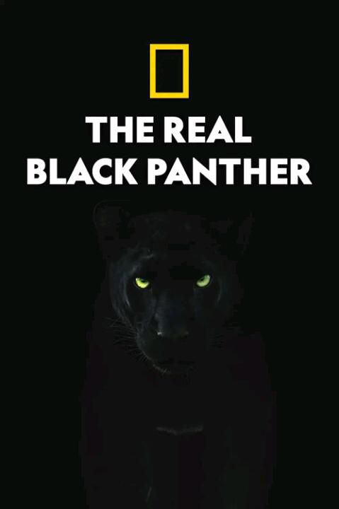 2020美國紀錄片《真黑豹無雙/The Real Black Panther》.英語中英雙字