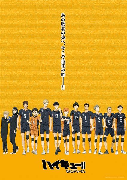 2016四月新番！排球少年1-2季50集全+OAD 4碟DVD