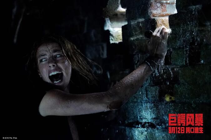 2019電影 鱷魔/巨鱷風暴/噬逃險鱷 卡雅·斯考達裏奧 高清盒裝DVD 2019電影 鱷魔/巨鱷風暴/噬逃險鱷 卡雅·斯考達裏奧 高清盒裝DVD