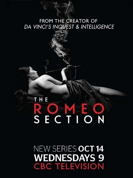 羅密歐間諜/The Romeo Section 第1季 羅密歐間諜/The Romeo Section 第1季