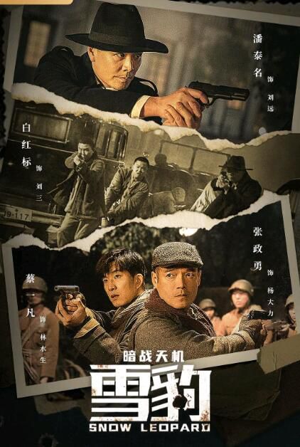 2021動作戰爭《雪豹之暗戰天機》潘泰名.國語中字
