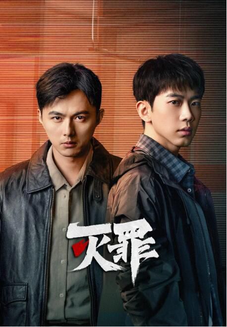 2025大陸劇《滅罪》費啟鳴/王曉贇子 國語中字 盒裝3碟
