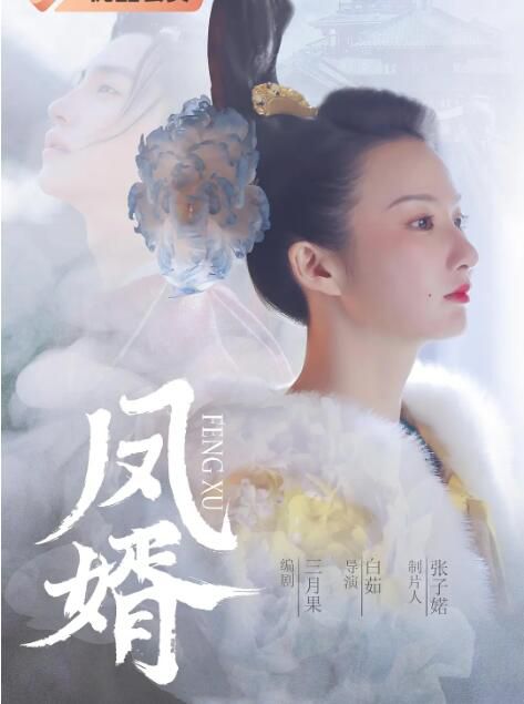 2023大陸劇 鳳婿/Feng Jun's men 張丙丙/劉壬赫 高清盒裝4碟 2023大陸劇 鳳婿/Feng Jun's men 張丙丙/劉壬赫 高清盒裝4碟