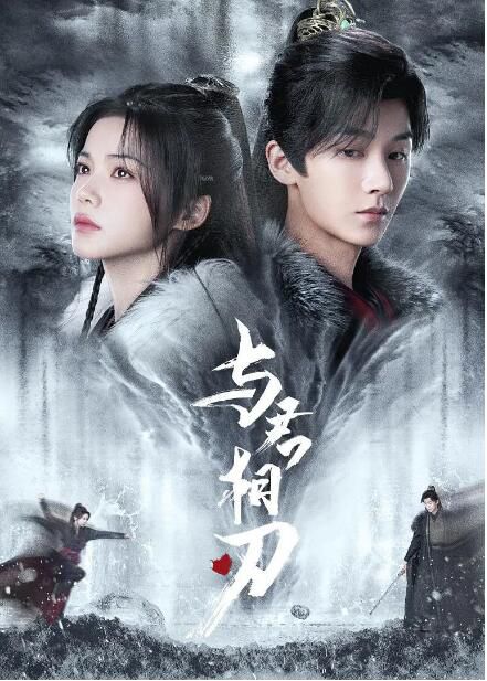 2024大陸劇《與君相刃》洪瀟/楊澤 國語中字 盒裝2碟 2024大陸劇《與君相刃》洪瀟/楊澤 國語中字 盒裝2碟