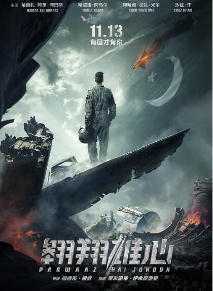 2018動作電影 翺翔雄心 帕瓦茲·海·尤寧 國英語中字 高清盒裝DVD 2018動作電影 翺翔雄心 帕瓦茲·海·尤寧 國英語中字 高清盒裝DVD