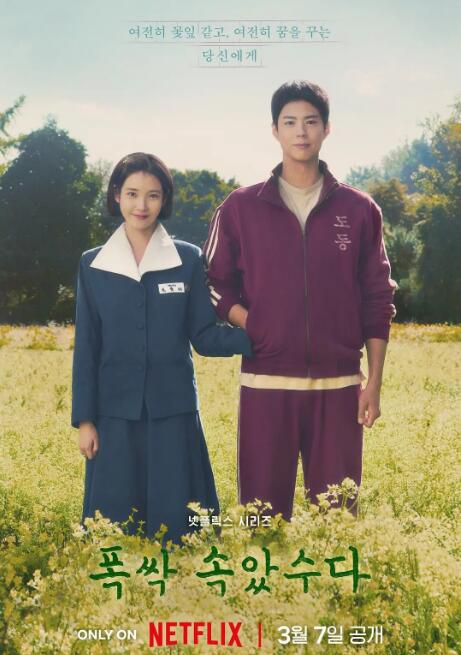 2025高分韓劇 苦盡柑來遇見你/辛苦了 李知恩/樸寶劍 高清盒裝5碟