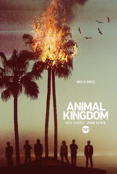 野獸家族/動物王國/Animal Kingdom 第一季