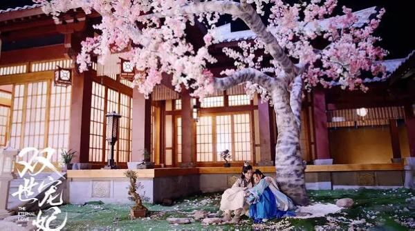 2017大陸劇【雙世寵妃第1部】【邢昭林 梁潔】清晰4碟 2017大陸劇【雙世寵妃第1部】【邢昭林 梁潔】清晰4碟