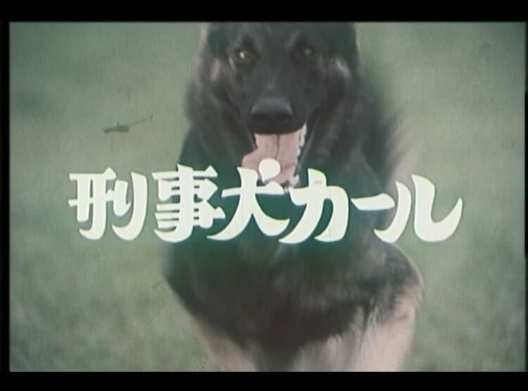 經典日劇DVD:警犬卡爾 1-11集【木之內綠】中文字幕+日語發音3碟 經典日劇DVD:警犬卡爾 1-11集【木之內綠】中文字幕+日語發音3碟
