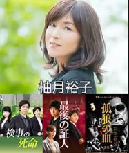 日本推理DVD：推理女作家：柚月裕子 5部特別篇+電影 合集 5碟
