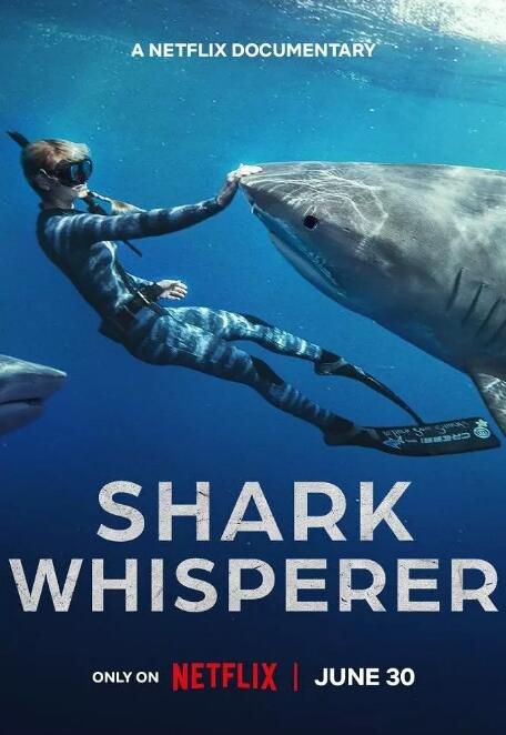 2025美國紀錄片《鯊語者/Shark Whisperer》Ocean Ramsey 英語中字 盒裝1碟 2025美國紀錄片《鯊語者/Shark Whisperer》Ocean Ramsey 英語中字 盒裝1碟