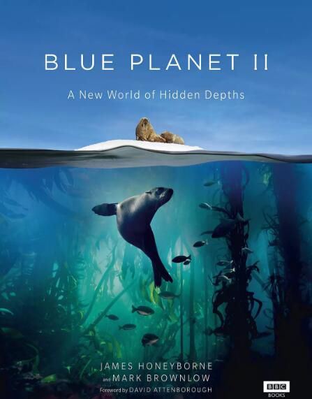 紀錄片：BBC:藍色星球 第二季 高清3D9