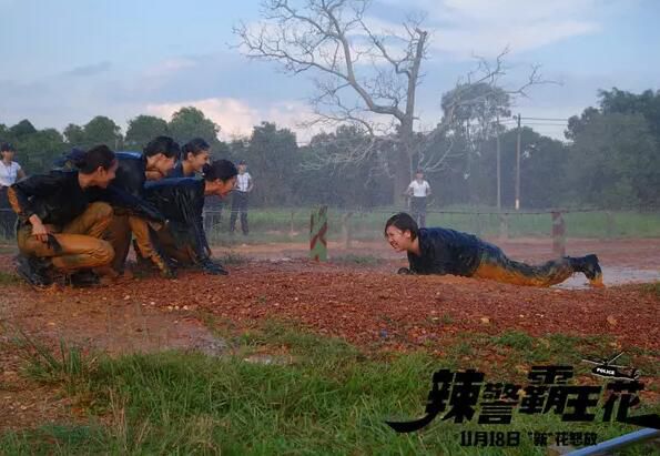 2016電影 辣警霸王花 岑麗香/鄭欣宜/何佩瑜 國語中字 盒裝1碟 2016電影 辣警霸王花 岑麗香/鄭欣宜/何佩瑜 國語中字 盒裝1碟