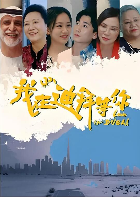 2025大陸劇《我在迪拜等你》王麗雲/賈雨嵐 國語中字 盒裝2碟 2025大陸劇《我在迪拜等你》王麗雲/賈雨嵐 國語中字 盒裝2碟