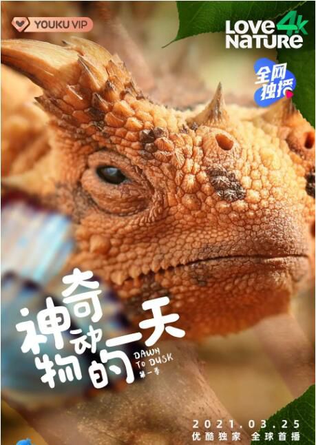 2021加拿大紀錄片《神奇動物的一天/黎明到黃昏 第一季》DVD 英語中字 盒裝2碟 2021加拿大紀錄片《神奇動物的一天/黎明到黃昏 第一季》DVD 英語中字 盒裝2碟