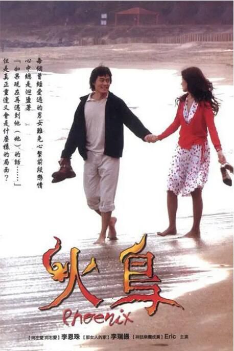 2004高分韓劇 火鳥/火鳥之燃燒的愛 李恩珠/李瑞鎮 韓語中字 盒裝7碟