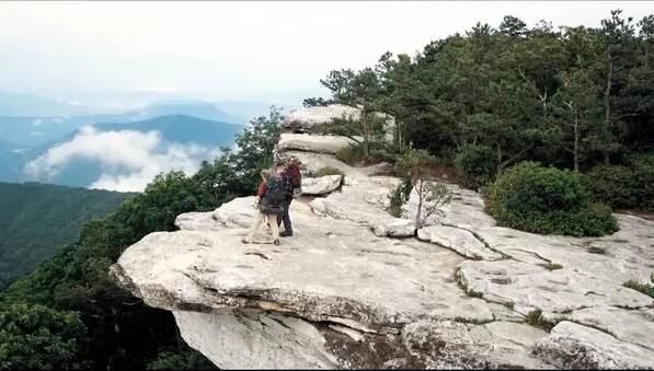 2015高分美國電影 林中漫步/別跟山過不去/偏跟山過不去 英語中字 盒裝1碟 2015高分美國電影 林中漫步/別跟山過不去/偏跟山過不去 英語中字 盒裝1碟