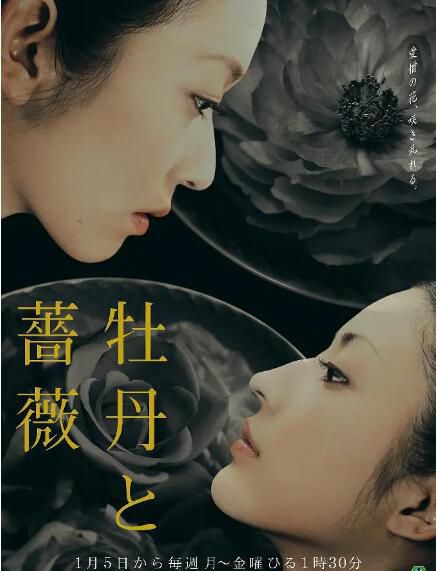 2004日劇【牡丹與薔薇】【小澤真珠】【日語中字】全60集清晰12碟 2004日劇【牡丹與薔薇】【小澤真珠】【日語中字】全60集清晰12碟
