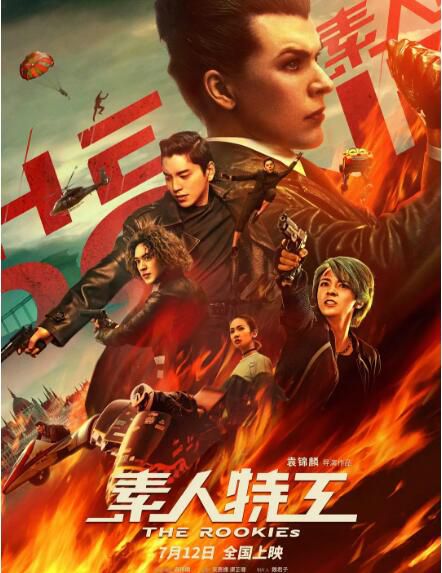 2019電影 素人特工 王大陸/張榕容 高清盒裝DVD