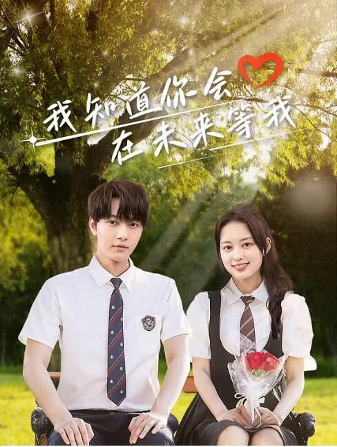 2025大陸劇《我知道你會在未來等我》陳子由/孫琰清 國語中字 盒裝1碟