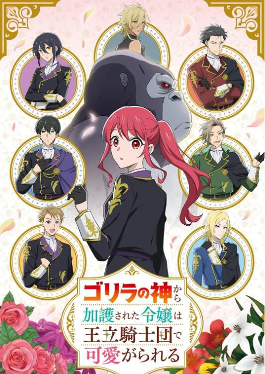 2025日本動畫 受到猩猩之神庇護的大小姐在皇家騎士團受到寵愛 日語中字 盒裝2碟
