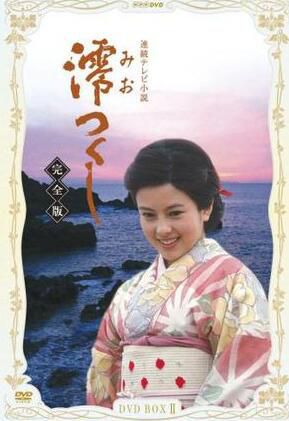 日劇 醬油的女兒阿香 澤口靖子/加賀麻理子 高清畫質日語發音繁體中文字幕 11碟
