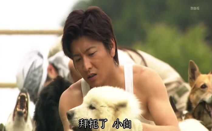 經典日劇 南極大陸 TV+特典 木村拓哉/綾瀨遙/堺雅人 8DVD盒裝 經典日劇 南極大陸 TV+特典 木村拓哉/綾瀨遙/堺雅人 8DVD盒裝
