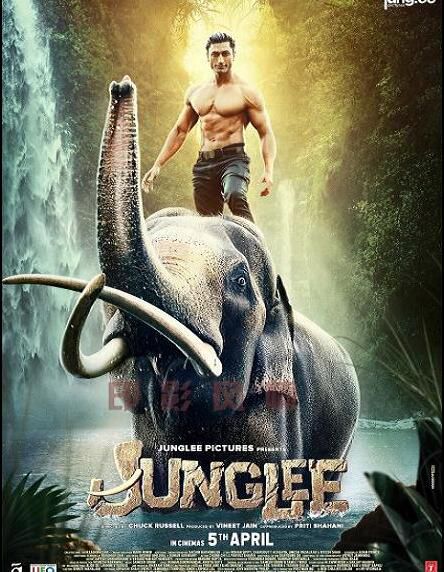 2019印度電影《叢林之子/卡拉里/Junglee》原音中字 盒裝1碟 2019印度電影《叢林之子/卡拉里/Junglee》原音中字 盒裝1碟