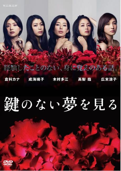 2013高分日劇 沒有鑰匙的夢/凝望無鑰之夢 日語中字 盒裝2碟 2013高分日劇 沒有鑰匙的夢/凝望無鑰之夢 日語中字 盒裝2碟