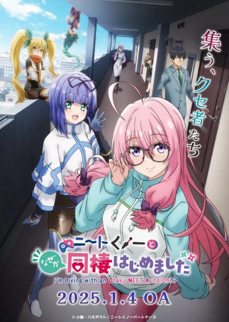 2025日本動畫《我與尼特女忍者的莫名同居生活》日語中字 盒裝2碟
