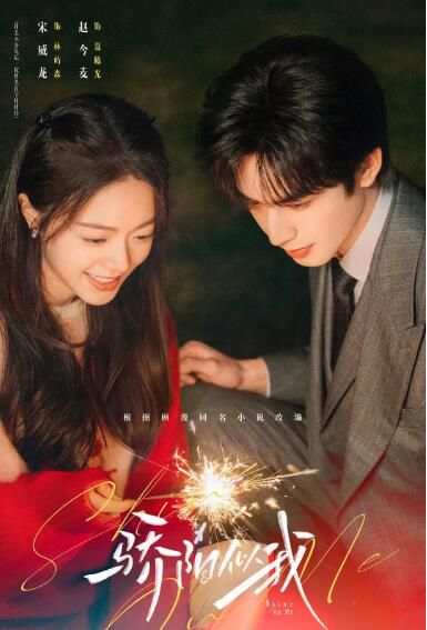 2025高分大陸劇 驕陽似我 宋威龍/趙今麥 國語中字 盒裝6碟