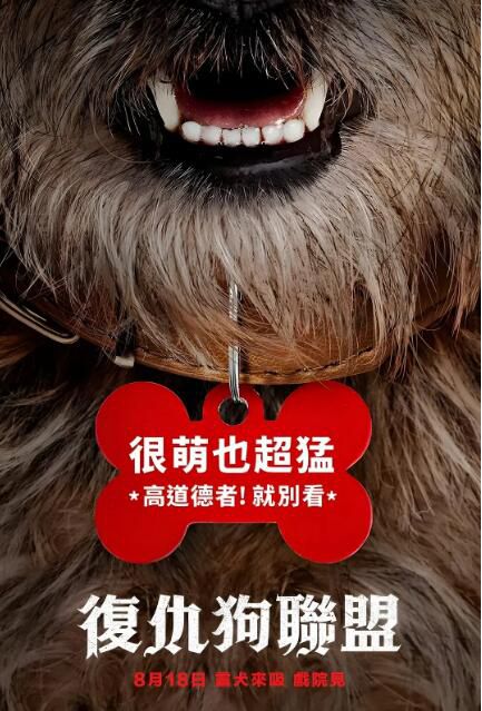 2023美國電影 流浪狗/復仇狗聯盟/復仇戇狗聯盟 威爾·法瑞爾 英語中字 2023美國電影 流浪狗/復仇狗聯盟/復仇戇狗聯盟 威爾·法瑞爾 英語中字