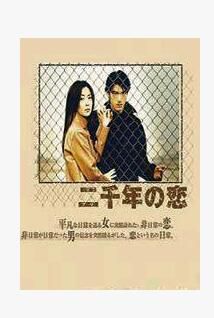 經典日劇《二千年之戀》中山美穗/金城武 4D5 經典日劇《二千年之戀》中山美穗/金城武 4D5
