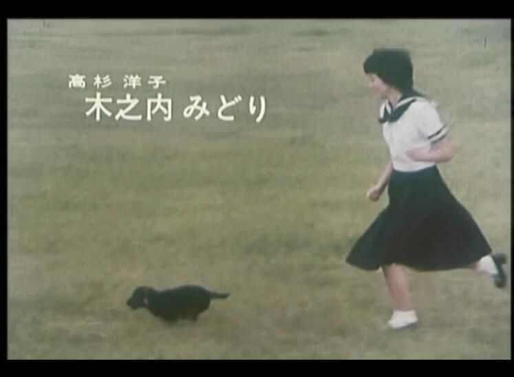 經典日劇DVD:警犬卡爾 1-11集【木之內綠】中文字幕+日語發音3碟 經典日劇DVD:警犬卡爾 1-11集【木之內綠】中文字幕+日語發音3碟