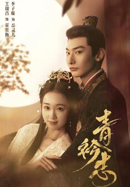 2025大陸劇《青衿誌/青今誌》王瑞昌/李子璇 國語中字 盒裝4碟