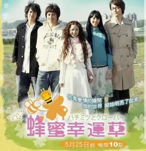 台劇【蜂蜜與四葉草/蜂蜜幸運草(2008)】【國語中字】3碟