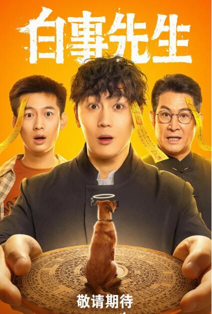 2025大陸劇《白事先生》史元庭/王馨偉 國語中字 盒裝2碟