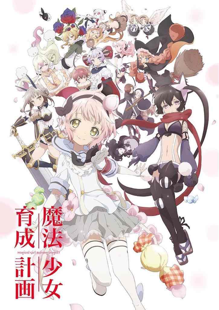 魔法少女育成計劃（2017年一月新番動漫）2碟DVD