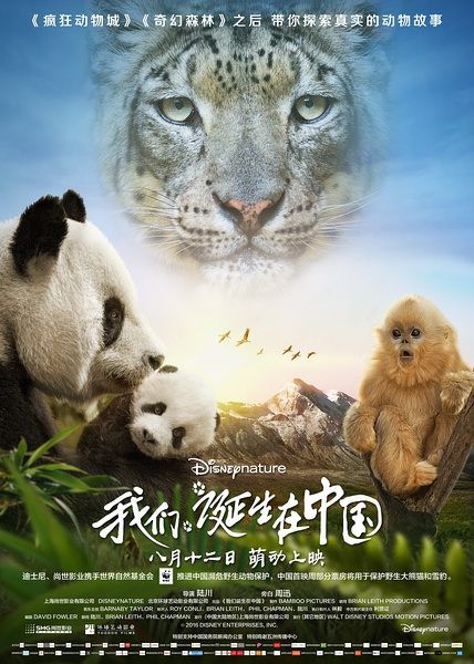 2016高分紀錄片 我們誕生在中國/誕生於中國/Born in China 國語中字 盒裝1碟 2016高分紀錄片 我們誕生在中國/誕生於中國/Born in China 國語中字 盒裝1碟