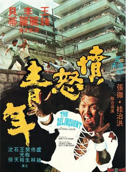 1973張徹高分動作電影《憤怒青年》樊梅生/李麗麗.國語中字 1973張徹高分動作電影《憤怒青年》樊梅生/李麗麗.國語中字