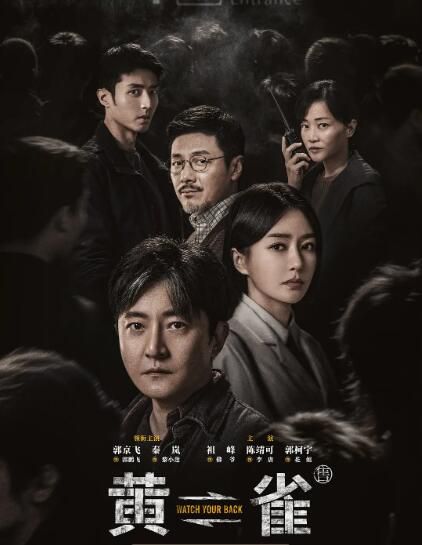 2025大陸劇 黃雀/watch your back 郭京飛/秦嵐 高清盒裝5碟