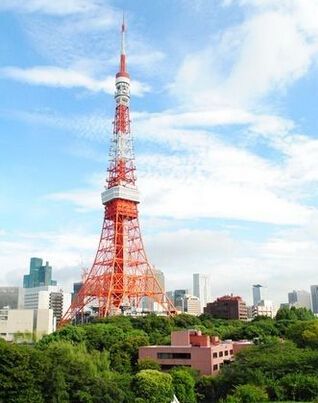 經典日劇《東京塔》速水重道 9DVD 經典日劇《東京塔》速水重道 9DVD
