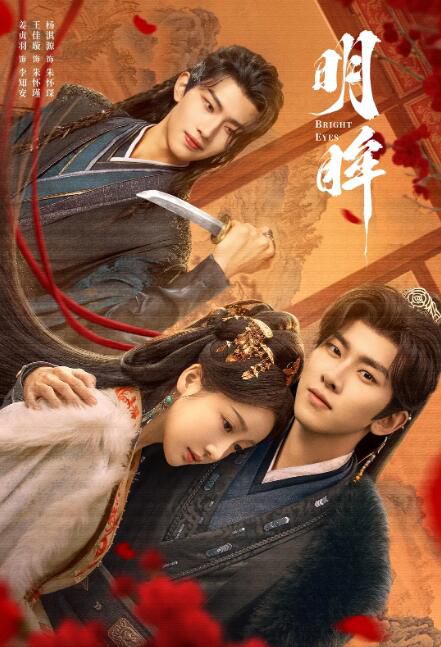 2025大陸劇《明眸》姜貞羽/王佳璇 國語中字 盒裝2碟
