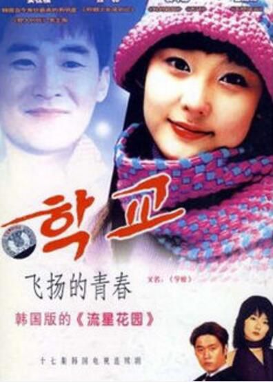 韓劇 飛揚的青春 盒裝 2碟 安在模 裴鬥娜 韓劇 飛揚的青春 盒裝 2碟 安在模 裴鬥娜