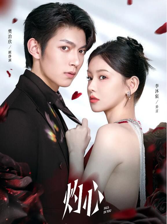 2025大陸劇《灼心/再說一次我愛你》李沐宸/樊治欣 國語中字 盒裝3碟