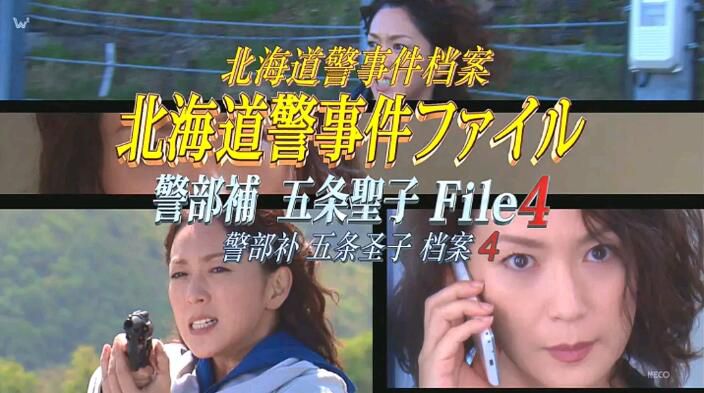 2016新推理單元劇DVD：北海道警署案件簿 警部補五條聖子4【若村麻由美】