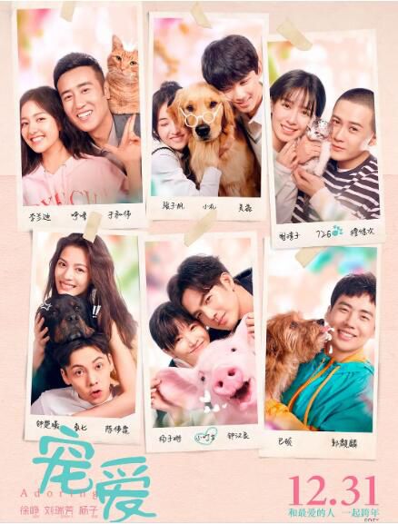 2019電影【寵愛/Adoring】【國語中字】【陳偉霆 鐘漢良】清晰1碟 2019電影【寵愛/Adoring】【國語中字】【陳偉霆 鐘漢良】清晰1碟