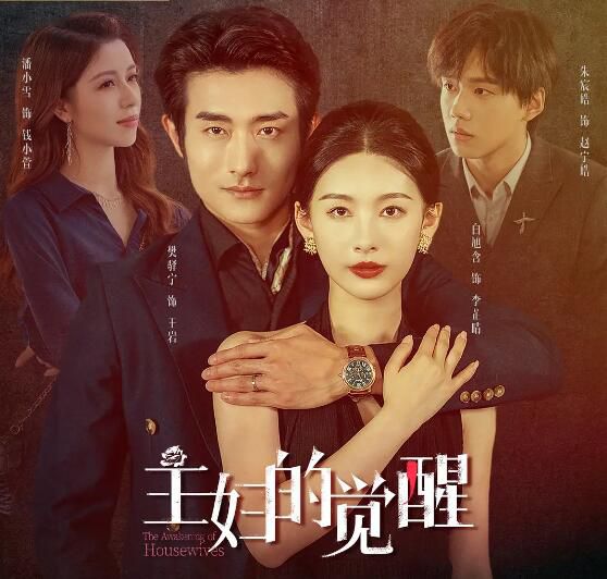 2025大陸劇《主婦的覺醒》白旭含/樊驛寧 國語中字 盒裝1碟