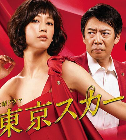 2014新刑事劇DVD：東京猩紅 警視廳NS系【水川麻美/生瀨勝久】2碟