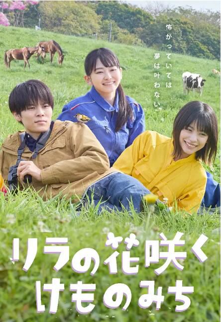 2025日劇SP 丁香花開的獸道/紫丁香花盛開的小徑 山田杏奈 日語中字 盒裝1碟 2025日劇SP 丁香花開的獸道/紫丁香花盛開的小徑 山田杏奈 日語中字 盒裝1碟